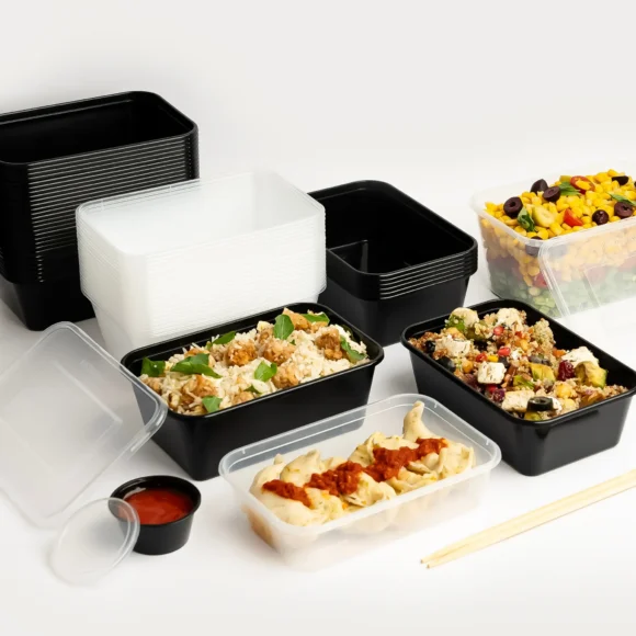 Rectangular 500 ML Plastic Food Container