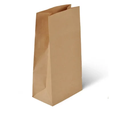 Brown Kraft Paper Bag