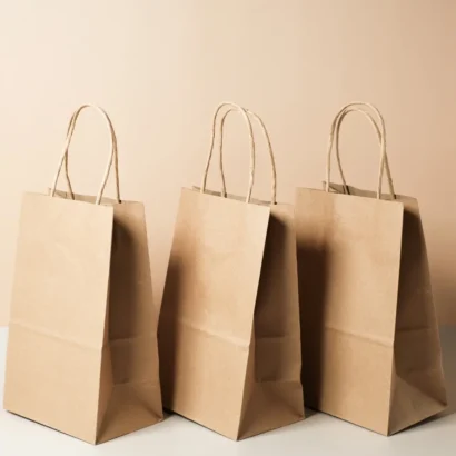 Brown Paper Bags