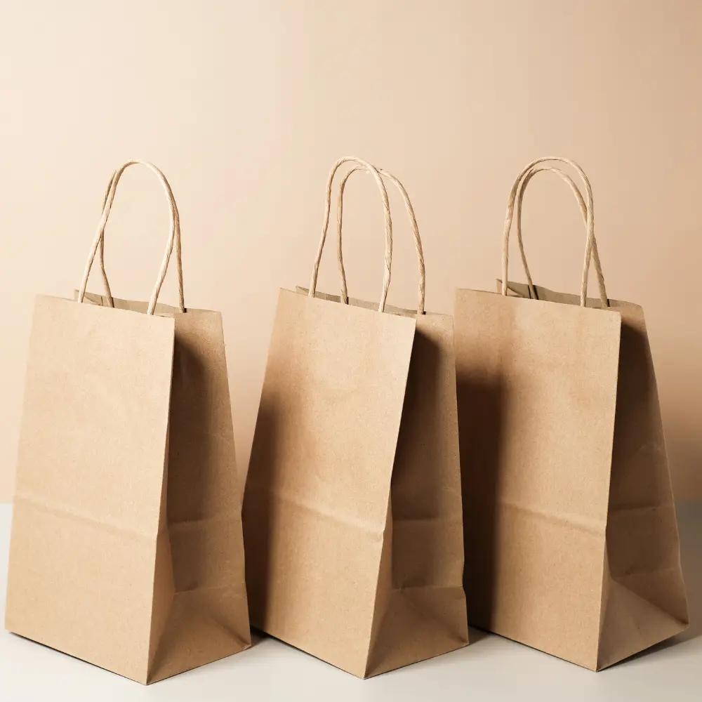 Brown Paper Bags