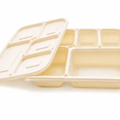 Beige plastic segmented lunch tray with a hinged lid and four compartments, empty to show the divider layout