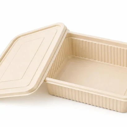 Beige plastic lunch box with its lid resting nearby, empty inside.
